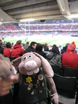 SX10786 Hutch at rugby Wales vs Argentina in Millennium stadium.jpg